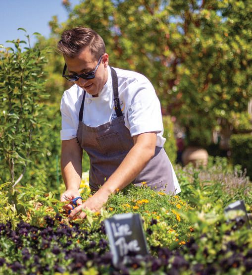 Chef Christopher Gentile utilizes fresh ingredients from his garden. COURTESY OF RANCHO BERNARDO INN