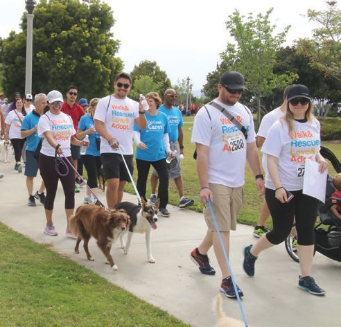 Walk for a cause with your pup in tow during San Diego Humane Society’s Walk for Animals May 7 at NTC Park PHOTO COURTESY OF SAN DIEGO HUMANE SOCIETY