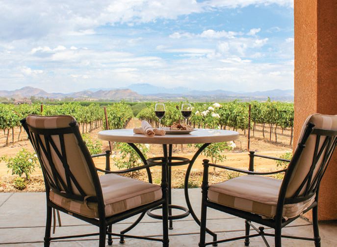 Suites with private patios boast vineyard views. PHOTO COURTESY OF BRANDS